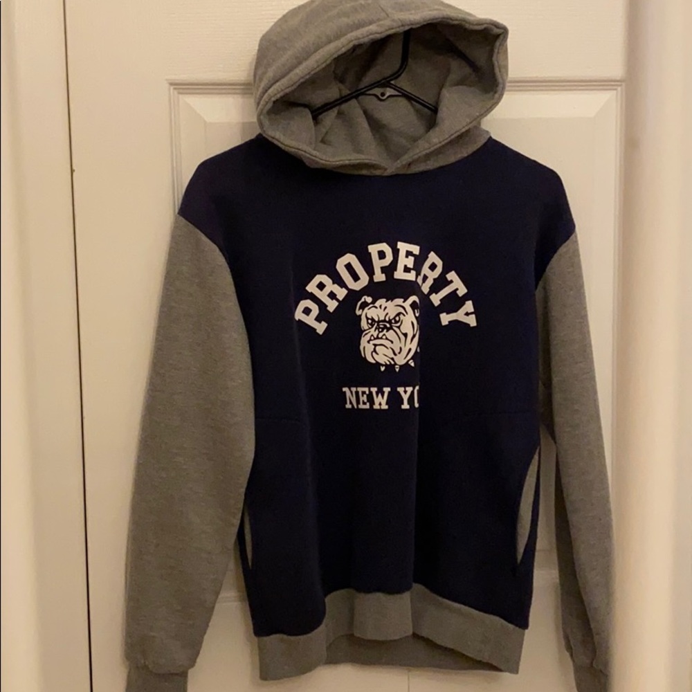 Blue and Grey Hoodie